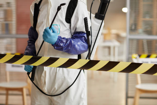 Professional Sewage Cleanup technician working in Elmwood, NE